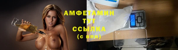 гидра Михайловск