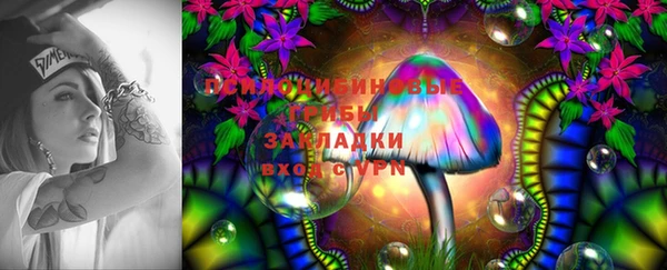 мдпв Горно-Алтайск