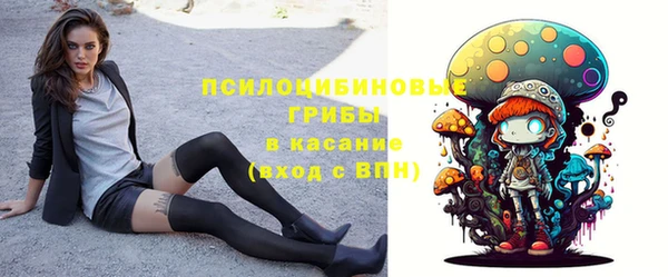 эйфоретик Михайлов
