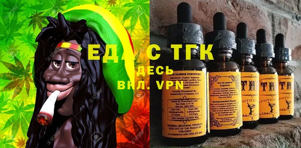 индика Горнозаводск