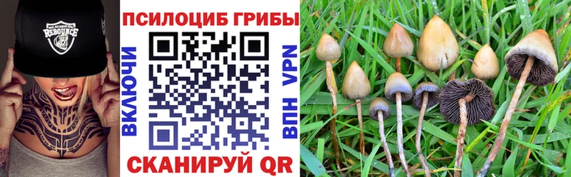 Псилоцибиновые грибы мицелий  Печоры 